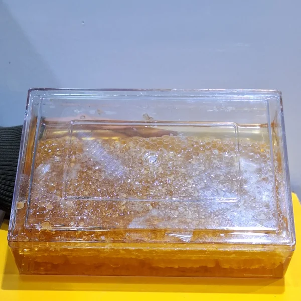 عسل کریستالی مستطیلی